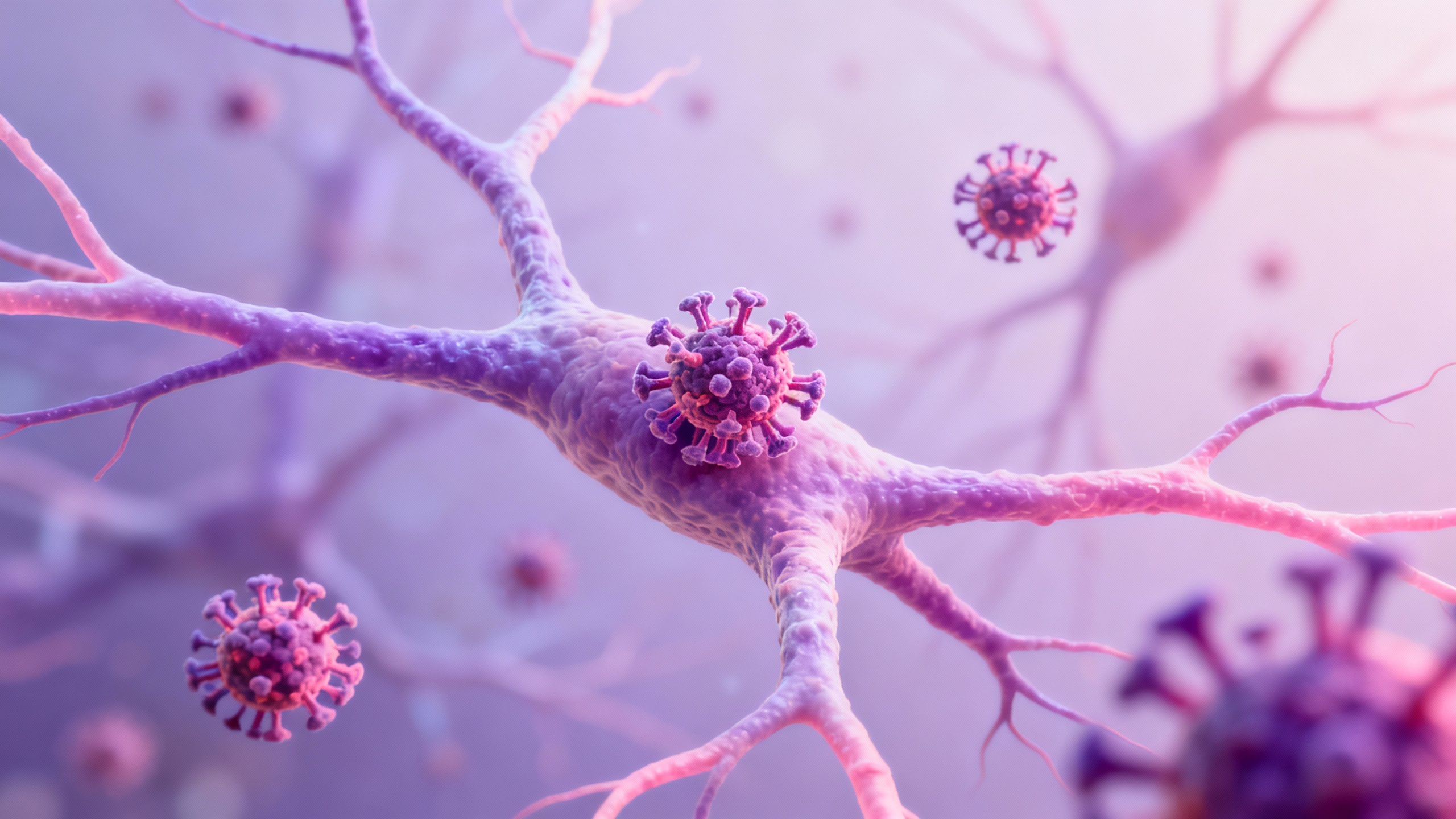 Featured image for Is Shingles a Disease?